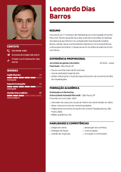 Exemplo de currículo de estudante